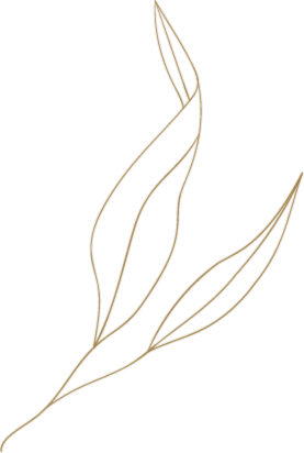 Delikatna grafika roślinna w stylu MAVI STUDIO.